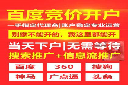 百度SEO推广案例：实战解析与优化建议